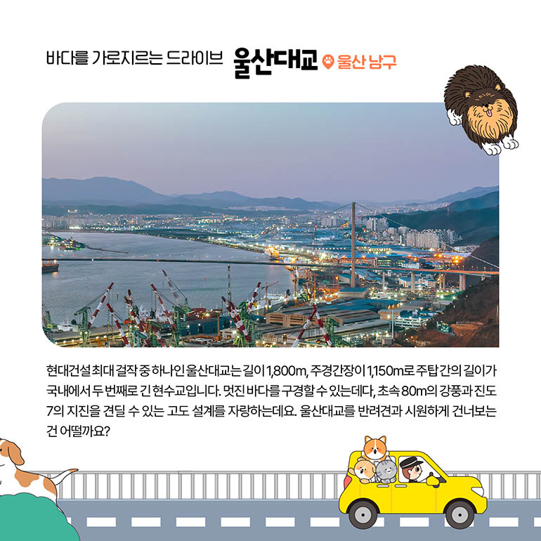 울산대교 울산 남구 현대건설 최대 걸작 중 하나인 울산대교는 길이 1,800m, 주경간장이 1,150m로 주탑 간의 길이가 국내에서 두 번째로 긴 현수교입니다. 멋진 바다를 구경할 수 있는데다, 초속 80m의 강풍과 진도 7.0의 지진에도 견딜 수 있는 고도 설계를 자랑하는데요. 울산대교를 반려견과 시원하게 건너보는 건 어떨까요?